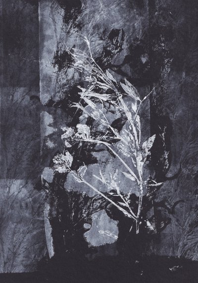 Nature noire - Maira Ribena