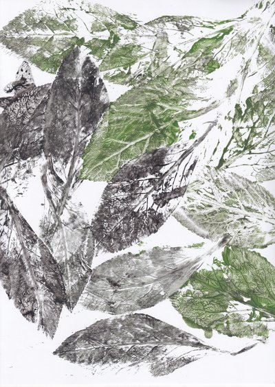 Imprimés botaniques de feuilles - Maira Ribena