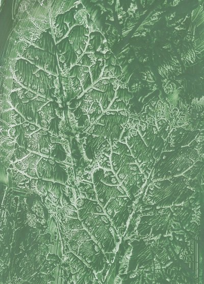 Texture de feuilles vert foncé - Maira Ribena