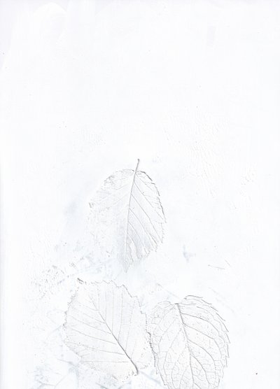 Feuilles blanches éthérées - Maira Ribena