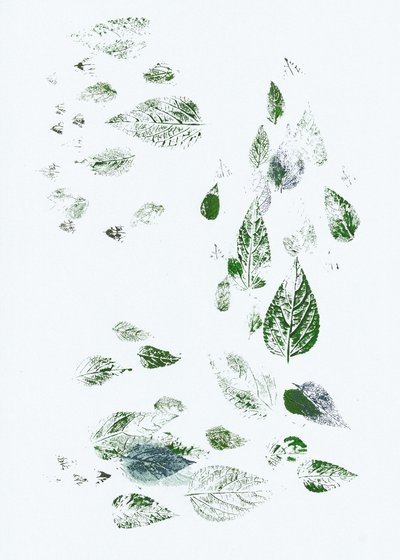 Feuilles vertes qui tombent - Maira Ribena