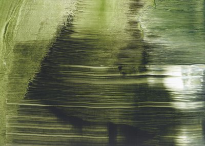 Fluid Green - Résumé - Maira Ribena