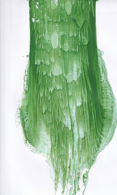 Fluid Green - Résumé - Maira Ribena