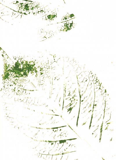 Imprimés feuilles vertes - Maira Ribena
