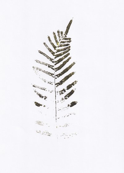 Imprimé minimaliste de feuilles de fougère - Maira Ribena