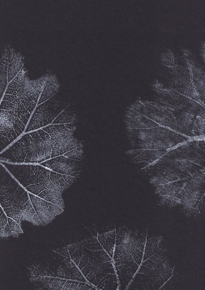 Textures de feuilles monochromes - Maira Ribena