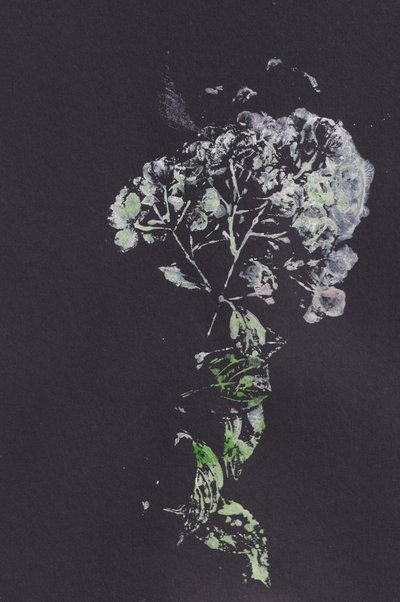 Moody Floral Impression - Maira Ribena