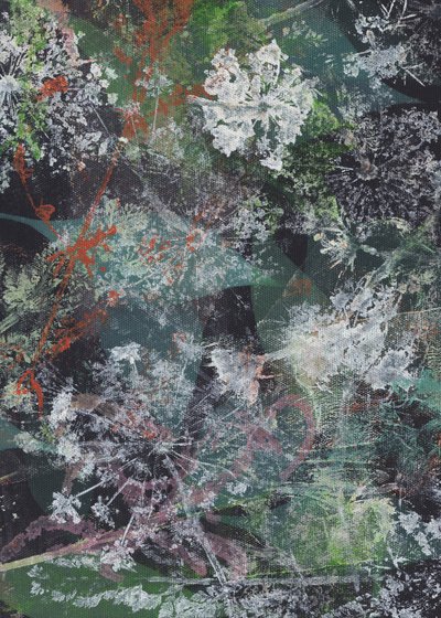 Fleur du jardin nocturne - Maira Ribena