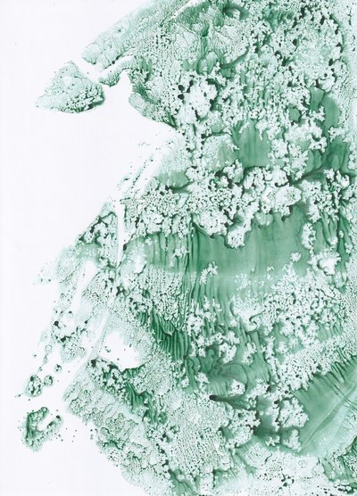 Texture verte bio - Maira Ribena