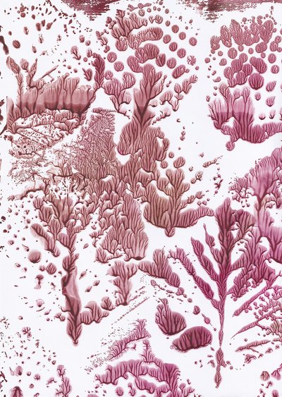Flux marron bio - Maira Ribena
