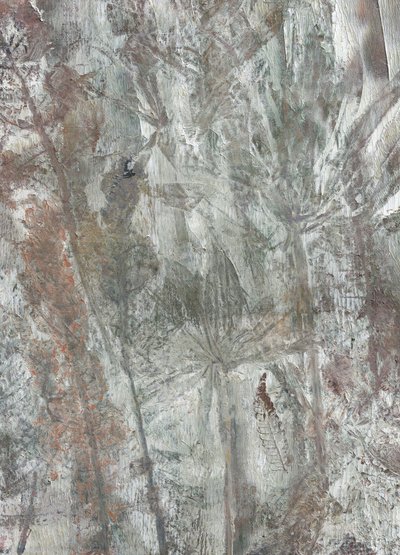 Formes naturelles subtiles - Maira Ribena