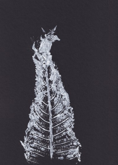 Silhouette de fougère blanche - Maira Ribena