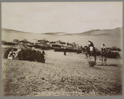 Campement avec tentes et chameaux dans le désert (probablement en Égypte) - Maison Bonfils