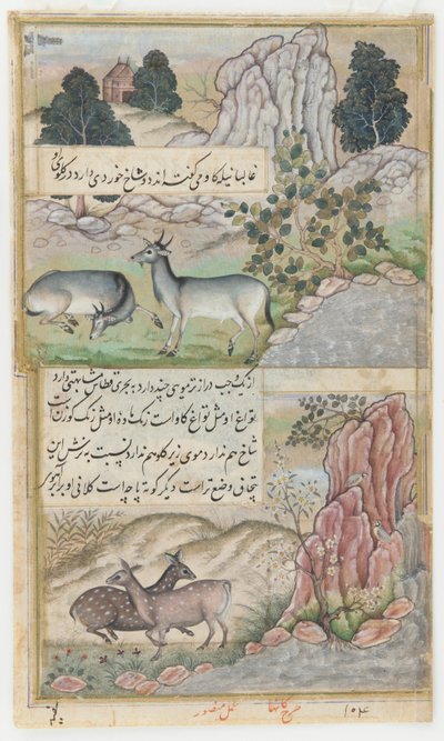 Deux buffles sauvages, vers 1589 - Mansur (fl.c.1590 1630)