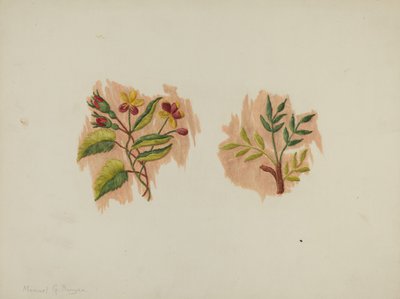 Fragment de jupon en soie, c. 1939 - Manuel G. Runyan