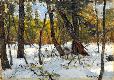 Bois en hiver - Marc Aurele de Roy Suzor Cote