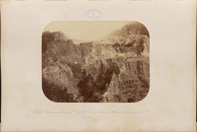 Ruines de Palmyre - Marc Ferrez