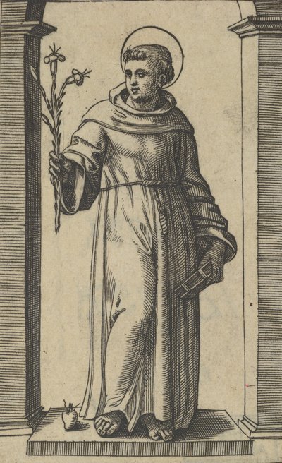 Saint Antoine de Padoue debout, lys dans sa main droite levée, un livre, vers 1500-1527 - Marcantonio Raimondi