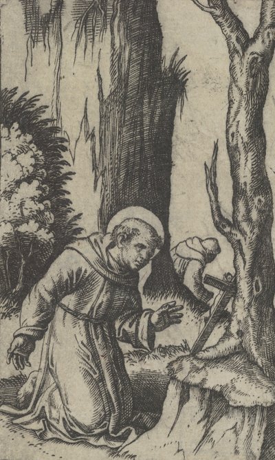 Saint François d