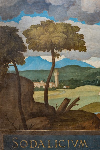 Détail de la ville de Vicence - Marcello Fogolino