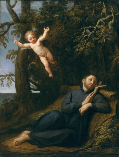 Saint François dans le désert - Marcantonio Franceschini