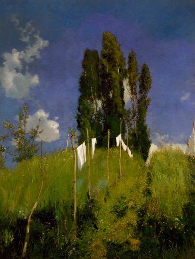 Pré de blanchisserie, dernier quart du 19ème siècle, par Marco Calderini (1850-1941), huile sur toile, 65x51 cm. Italie - Marco Calderini