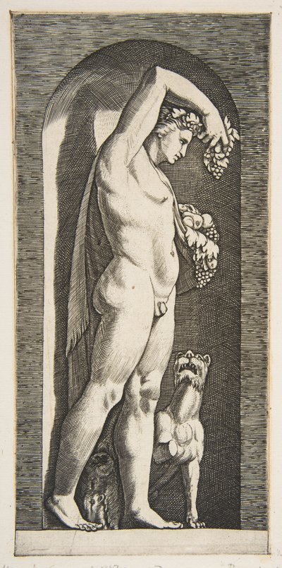 Bacchus debout dans une niche tenant des raisins dans sa main droite levée, des fruits dans sa main gauche, vers 1515-27 - Marco Dente