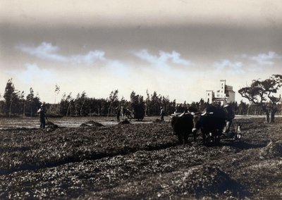 Labourage à Mussolinia, dans la province de Cagliari - Marco Leporati
