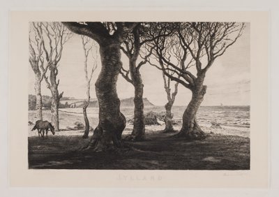 Paysage du Jutland - Marcus Bech Fritz