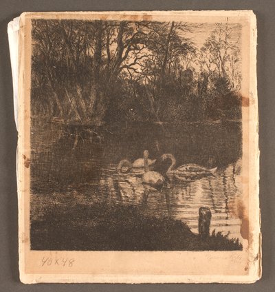 Motif avec des cygnes. Jardin de Frederiksberg - Marcus Bech Fritz