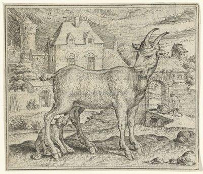 Fable de la chèvre et du jeune loup - Marcus Gheeraerts (I)