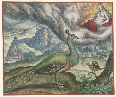 Fable du paon et du rossignol - Marcus Gheeraerts (I)