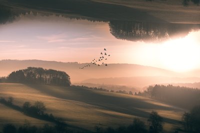  - Marcus Hennen
