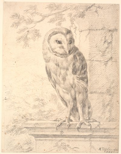 La chouette du baron von Stosch - Marcus Tuscher