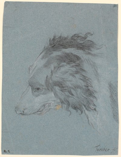 Une tête de chien - Marcus Tuscher