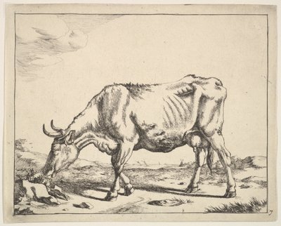 Vache, d