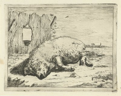 Cochon couché - Marcus de Bye