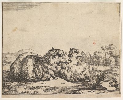 Moutons, d