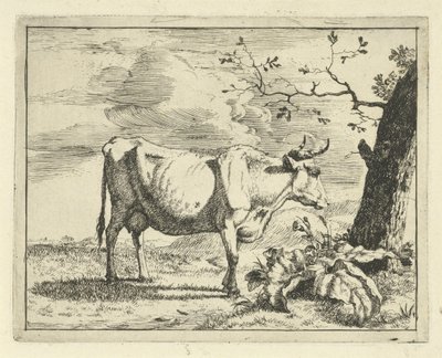 Vache debout près d