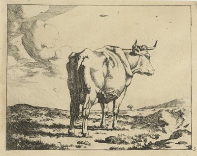 Vache debout vue de dos (Ruminants) - Marcus de Bye