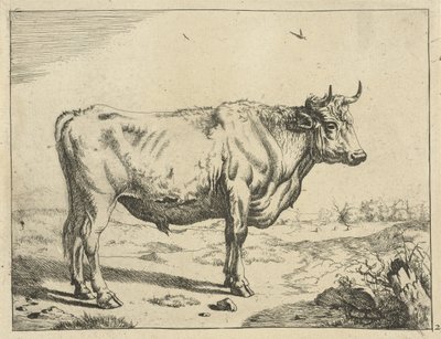 Taureau, debout à droite, avec des oiseaux (Bovins) - Marcus de Bye