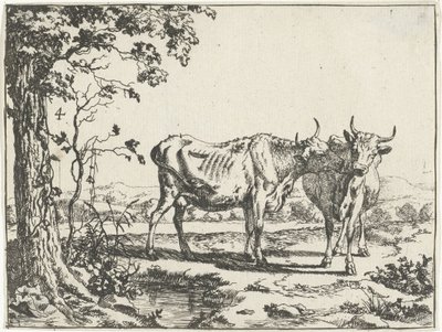 Deux vaches se léchant - Marcus de Bye