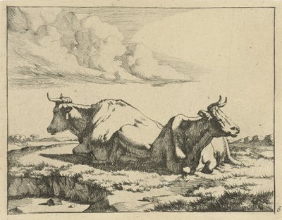 Deux vaches couchées - Marcus de Bye