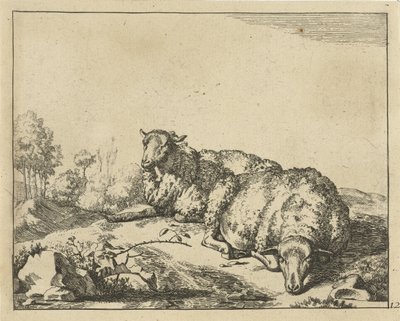 Deux moutons couchés près d