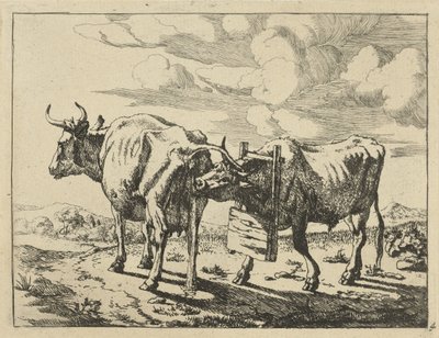 Deux vaches debout
Vaches et moutons (titre de la série) - Marcus de Bye