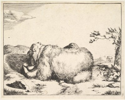de la série des Ours, vers 1664 - Marcus de Bye