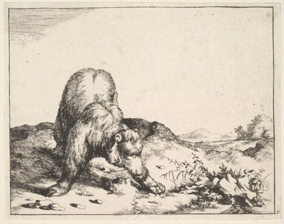 de La série des ours, vers 1664 - Marcus de Bye