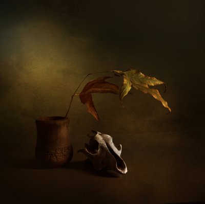 Nature morte d