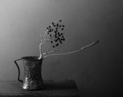 Nature morte aux baies noires - Margaret Halaby