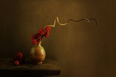 Nature morte botanique sombre - Margaret Halaby